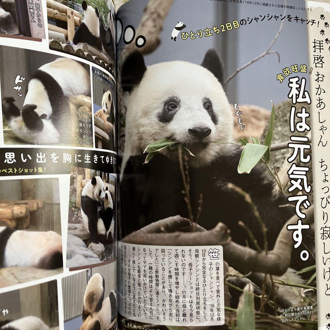 Panda Themselves May 2023