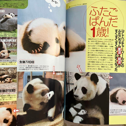 Panda Themselves May 2023