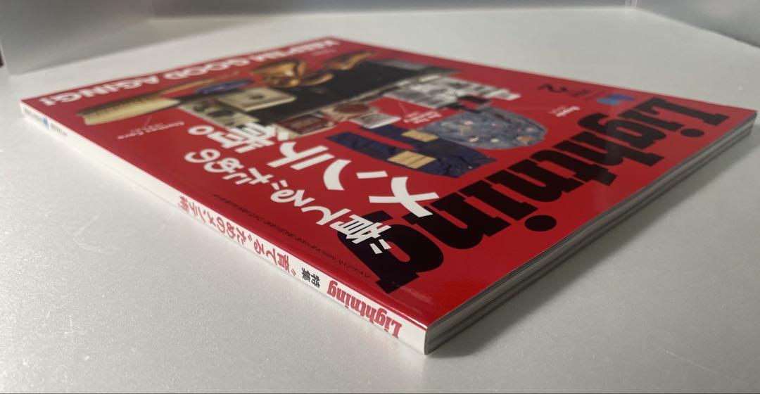 Lightning February 2024 Maintenance Issue