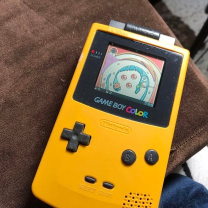 Pokemon Pinball Game Boy Software