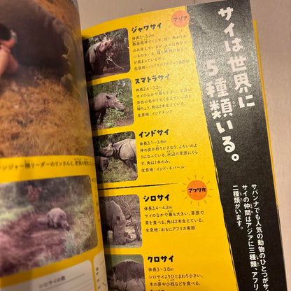 Summer Vacation Homework Book This World Without Sis