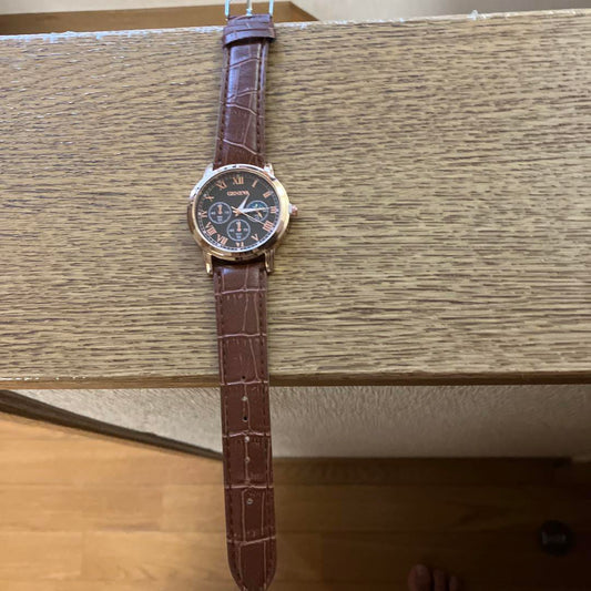 Automatic Winding Analog Watch Black Dial