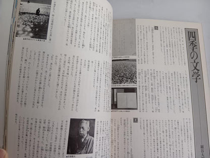 Masterpiece Journey / Japan Discovery 32 February 1, 1982