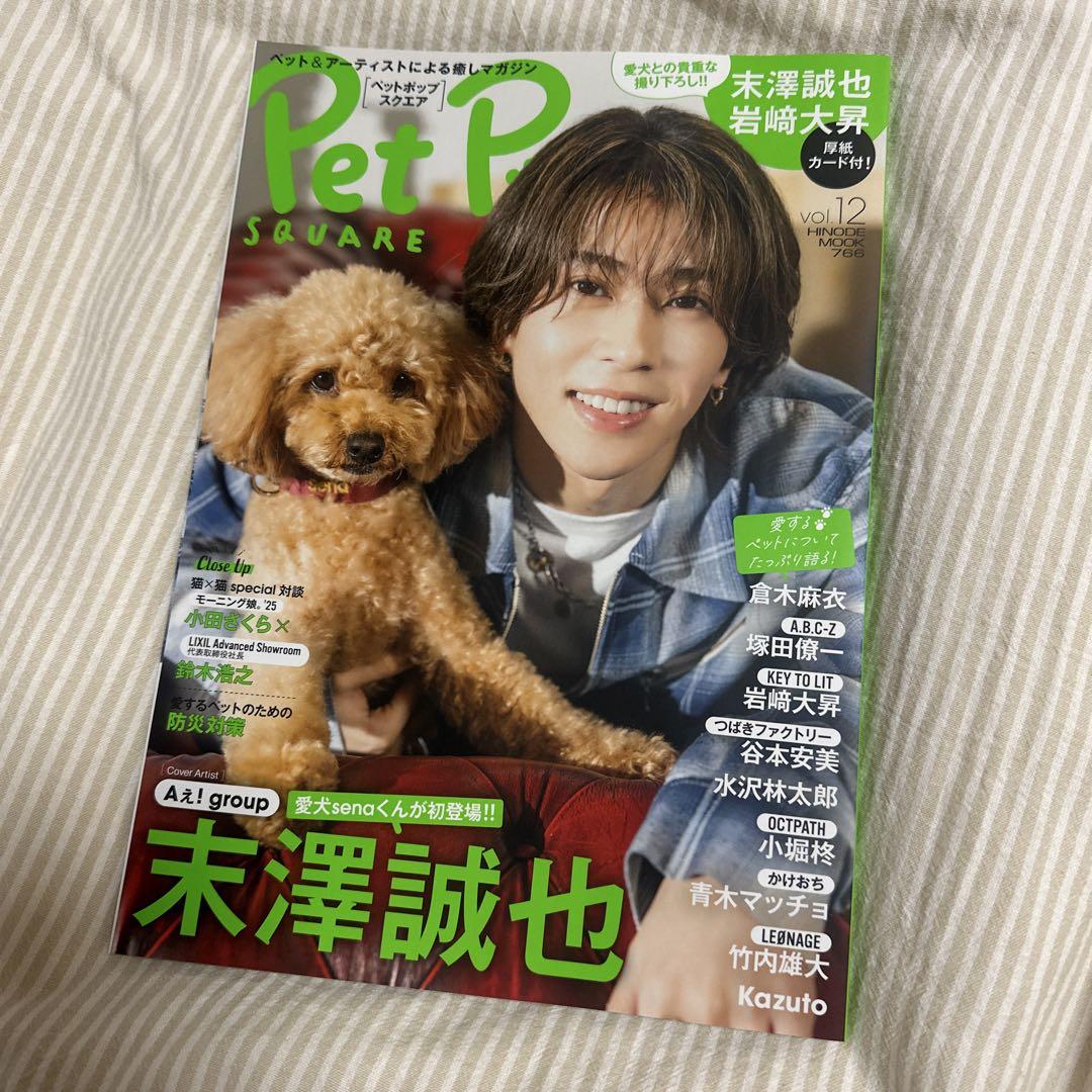 Pet Pop SQUARE vol.12 Masaya Suesaki