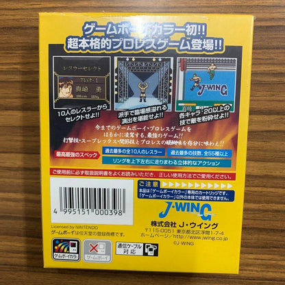 Pocket Pro Wrestling Perfect Wrestler