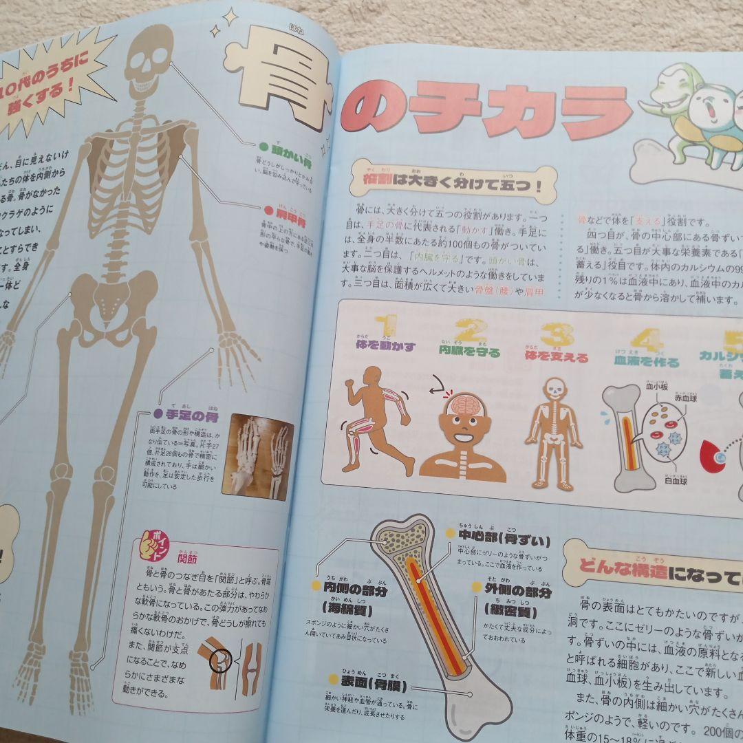 Understanding New 2025 May Issue Bone Power News