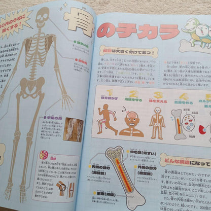 Understanding New 2025 May Issue Bone Power News