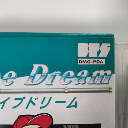 Pipe Dream Game Boy Software with Box, Manual, and Postcard