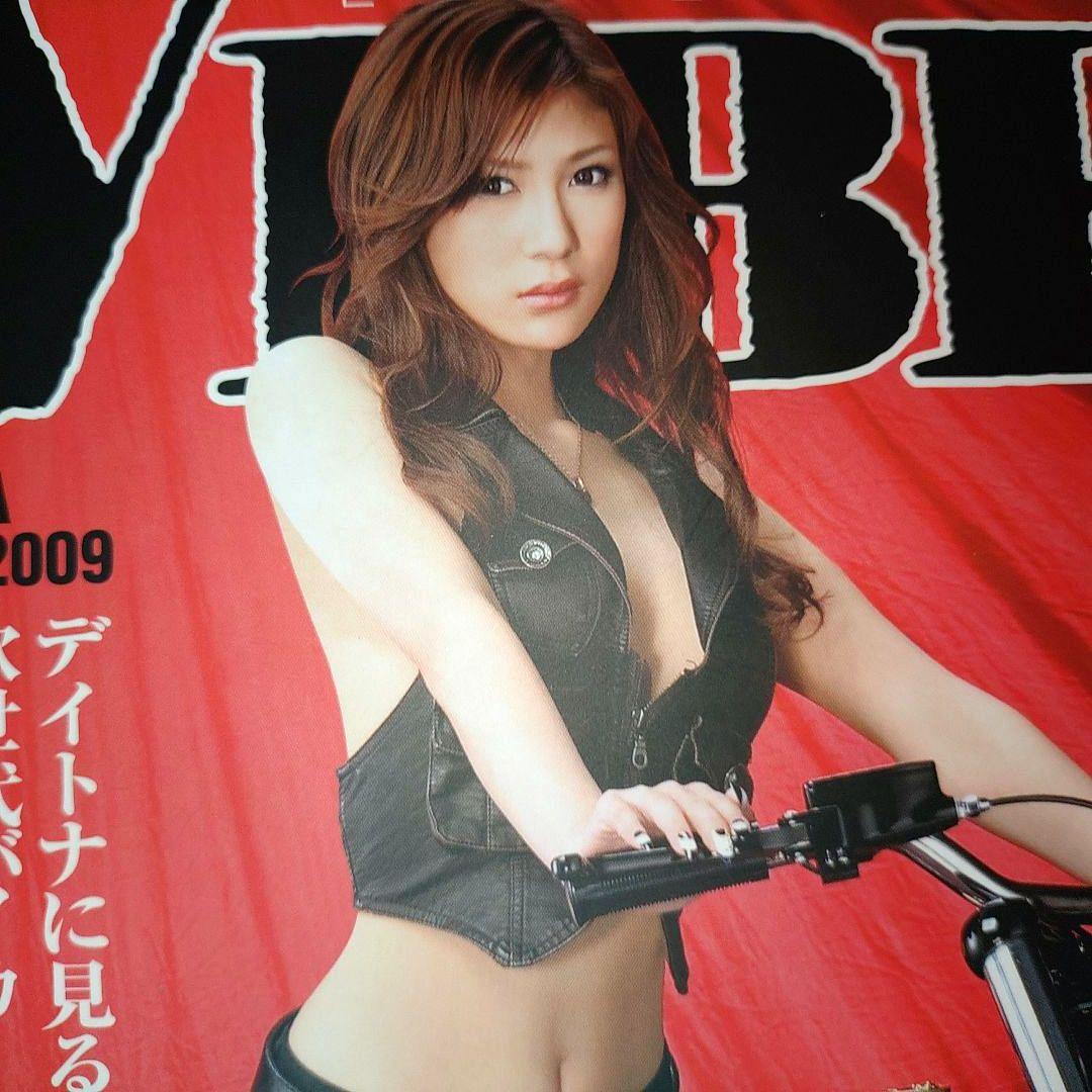 VIBES May 2009 Harley-Davidson