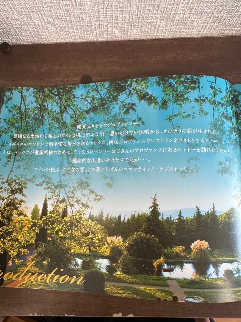 Movie Provence Gift Flyer