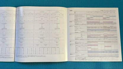 Old Car Catalog: Mazda Lantis