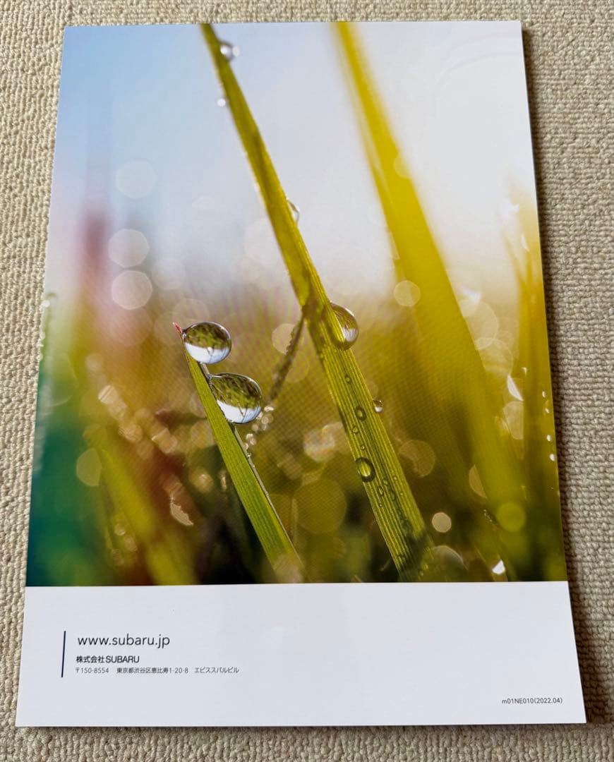 SUBARU SOLTERA Catalog