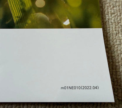 SUBARU SOLTERA Catalog