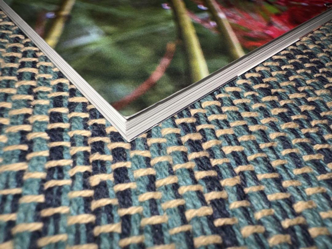 Railway Journal 2024 November Issue Special Feature Current Status of Diesel Multiple Units