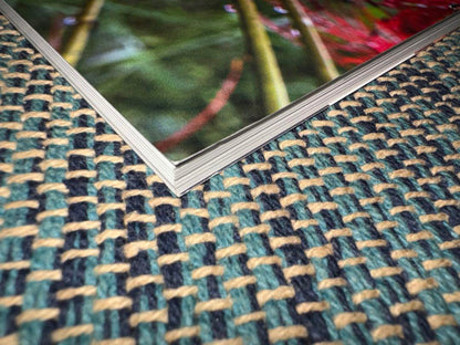 Railway Journal 2024 November Issue Special Feature Current Status of Diesel Multiple Units