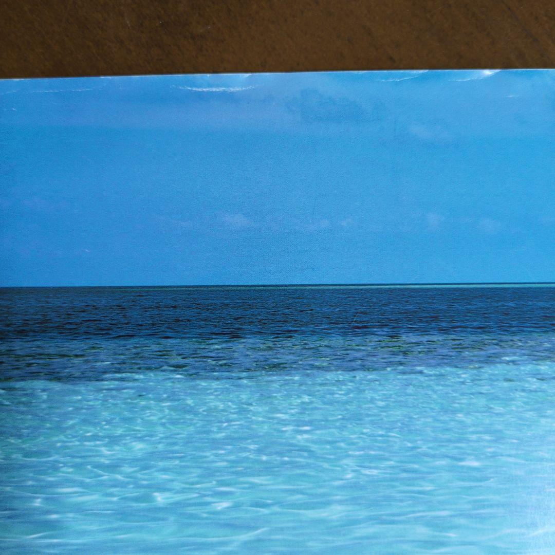 Toyota Hilux Surf Catalog 1995