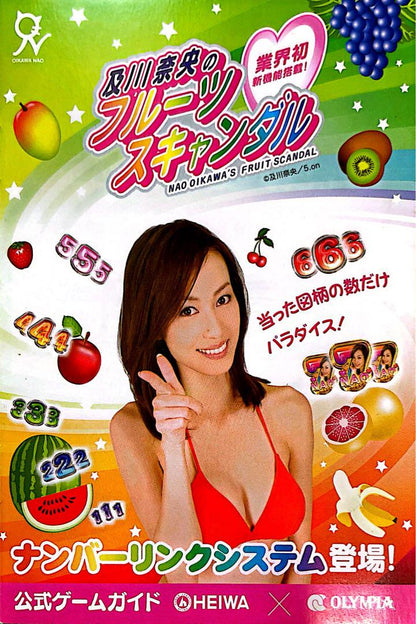 Old Pachinko Official Guidebook Singers