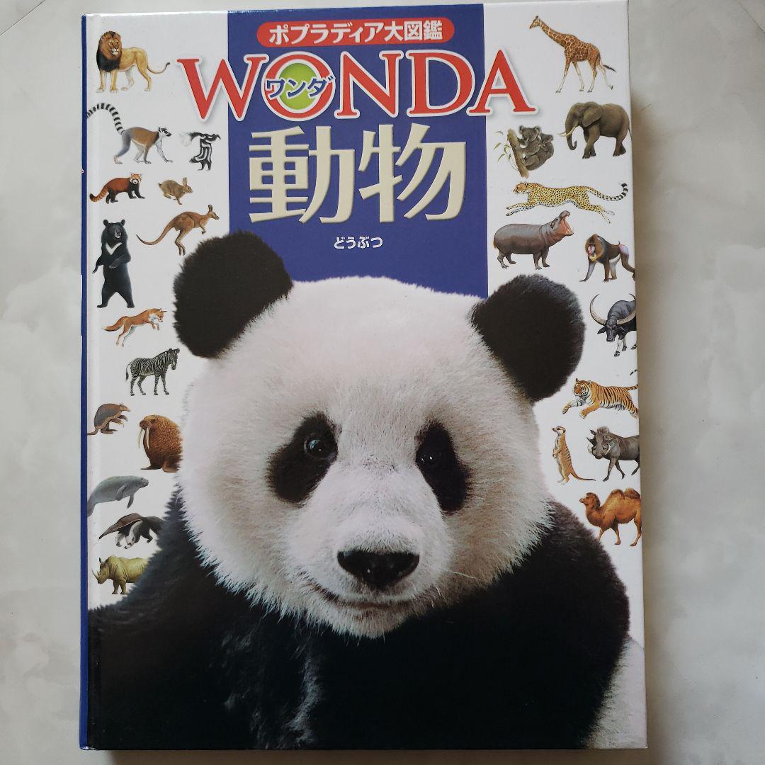 Animal Big Encyclopedia Big Full Color Book