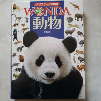 Animal Big Encyclopedia Big Full Color Book