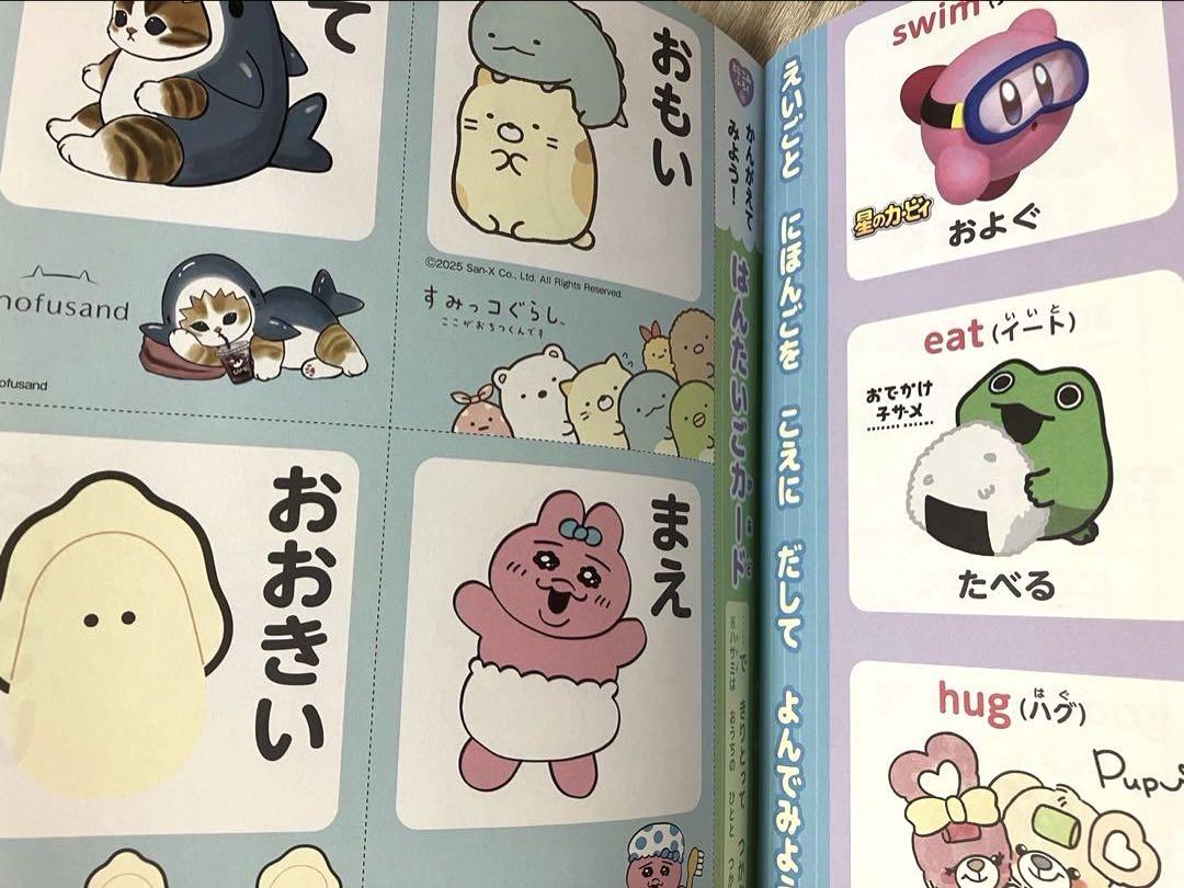 5-Volume Chikyukawa Magazine Set