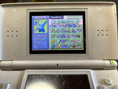 Pokémon Ruby Trainer Card Silver Labelless Raising Completed