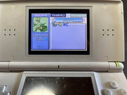 Pokémon Ruby Trainer Card Silver Labelless Raising Completed