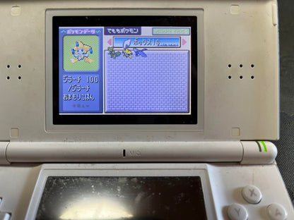 Pokémon Ruby Trainer Card Silver Labelless Raising Completed