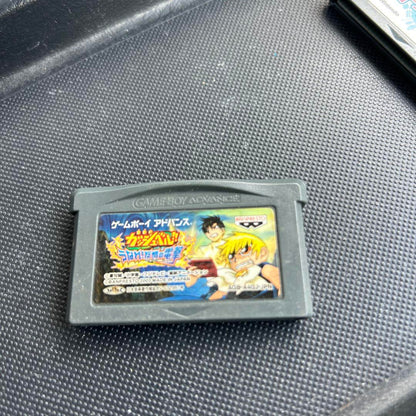 Olita's Adventure Game Boy Advance