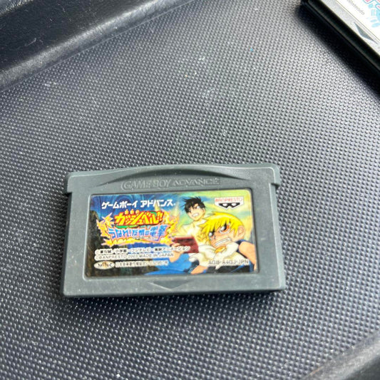 Olita's Adventure Game Boy Advance