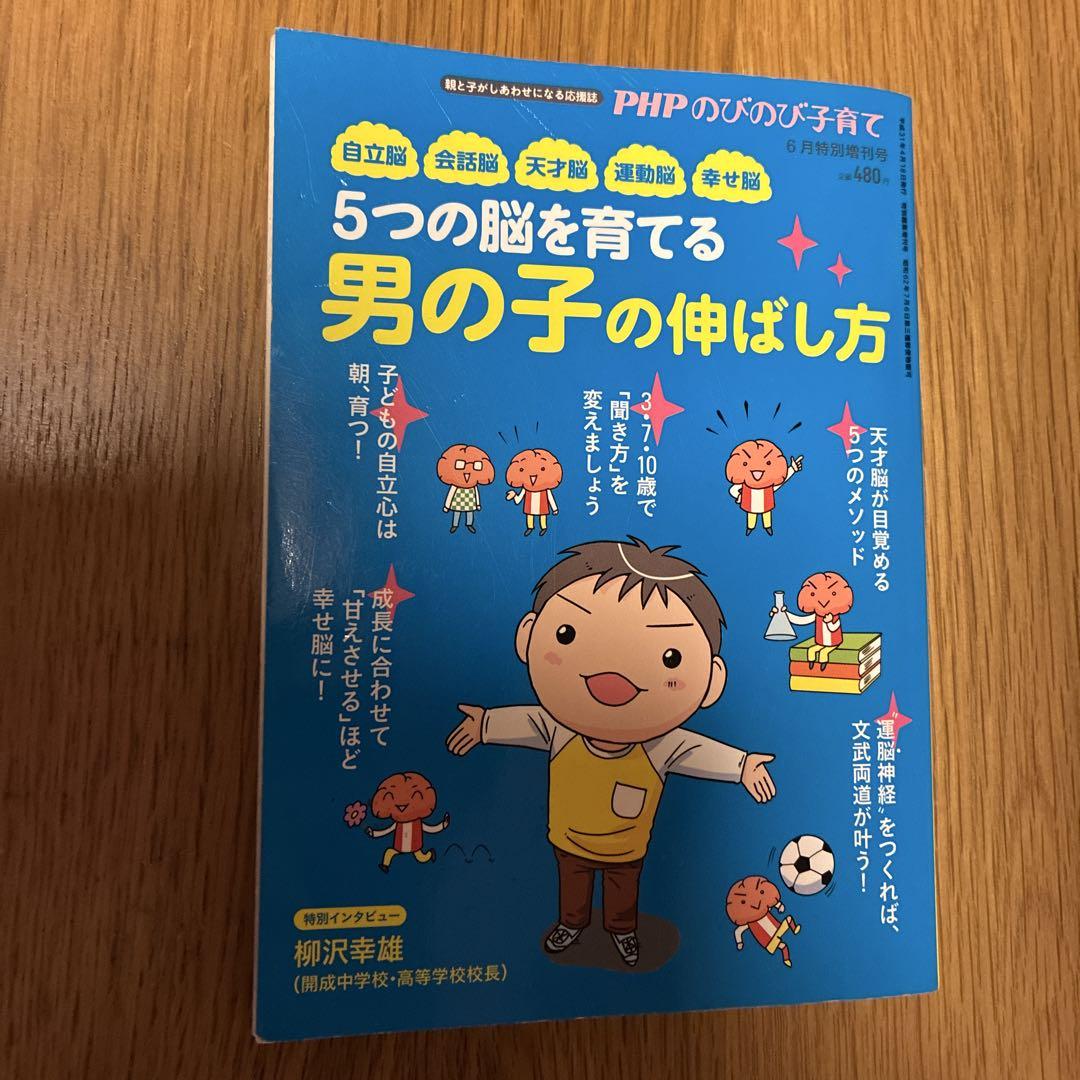 Raising Five Types of Brain in Boys