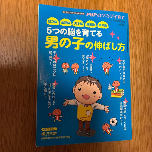 Raising Five Types of Brain in Boys