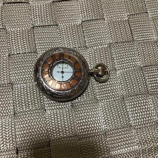 The Stopped Pocket Watch Napoleon