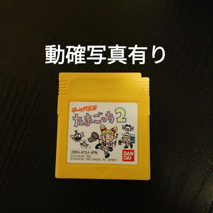 Action Confirmation Photo Available Tamagotchi 2 BANDAI Game Boy Software
