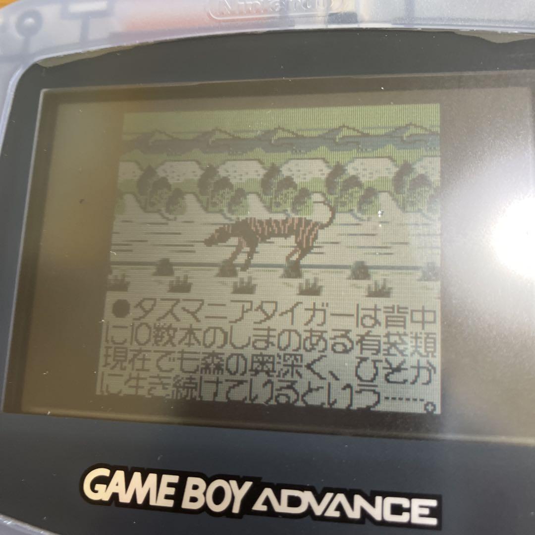 Tasmania Story Game Boy Game