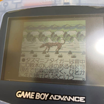 Tasmania Story Game Boy Game