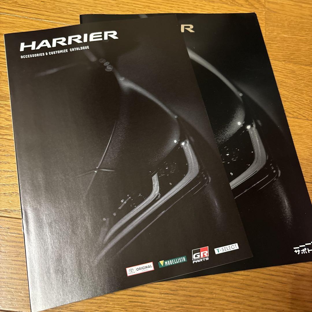 [Catalog] 80 Harrier Early Model