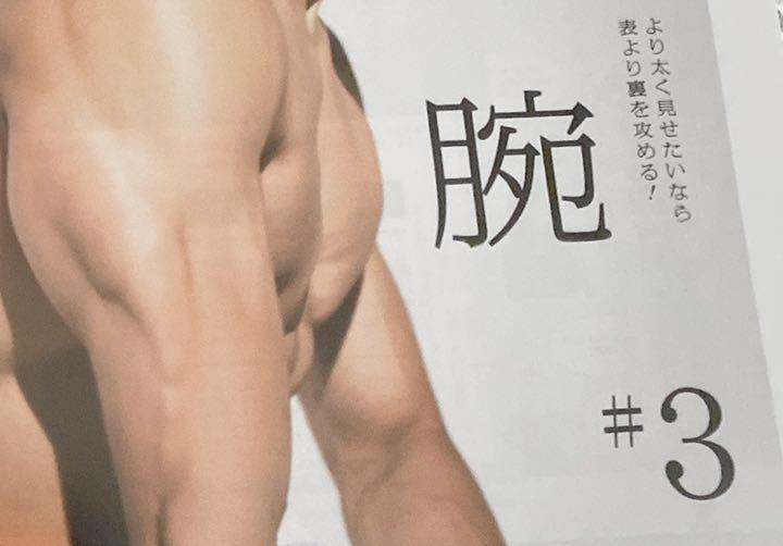 Tarzan Iwamoto Akira #3 Arm