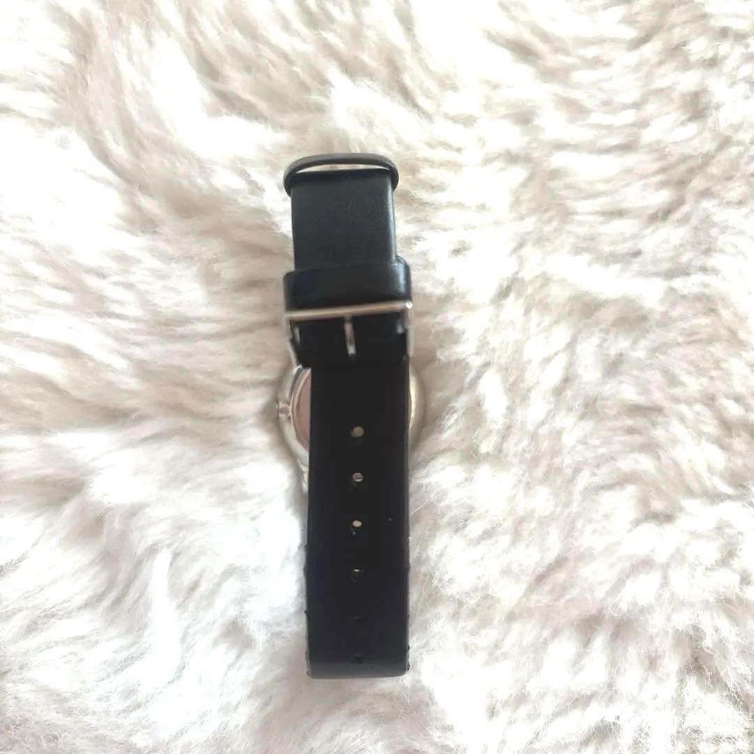 Skagen (SKAGEN) Watch 433SSLC