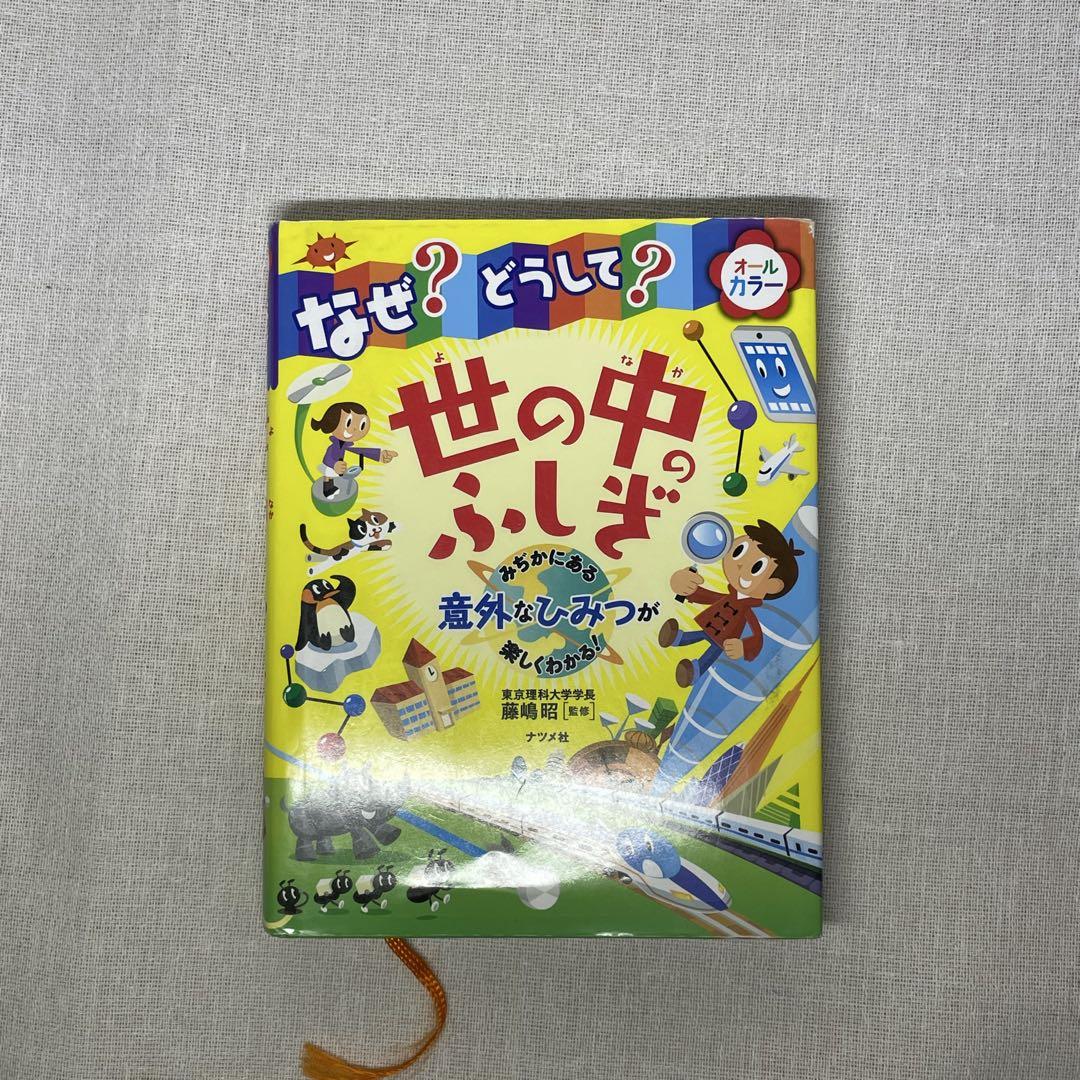 The Mysterious World Why?