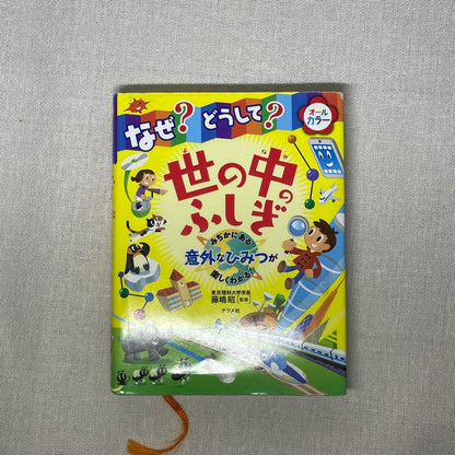 The Mysterious World Why?