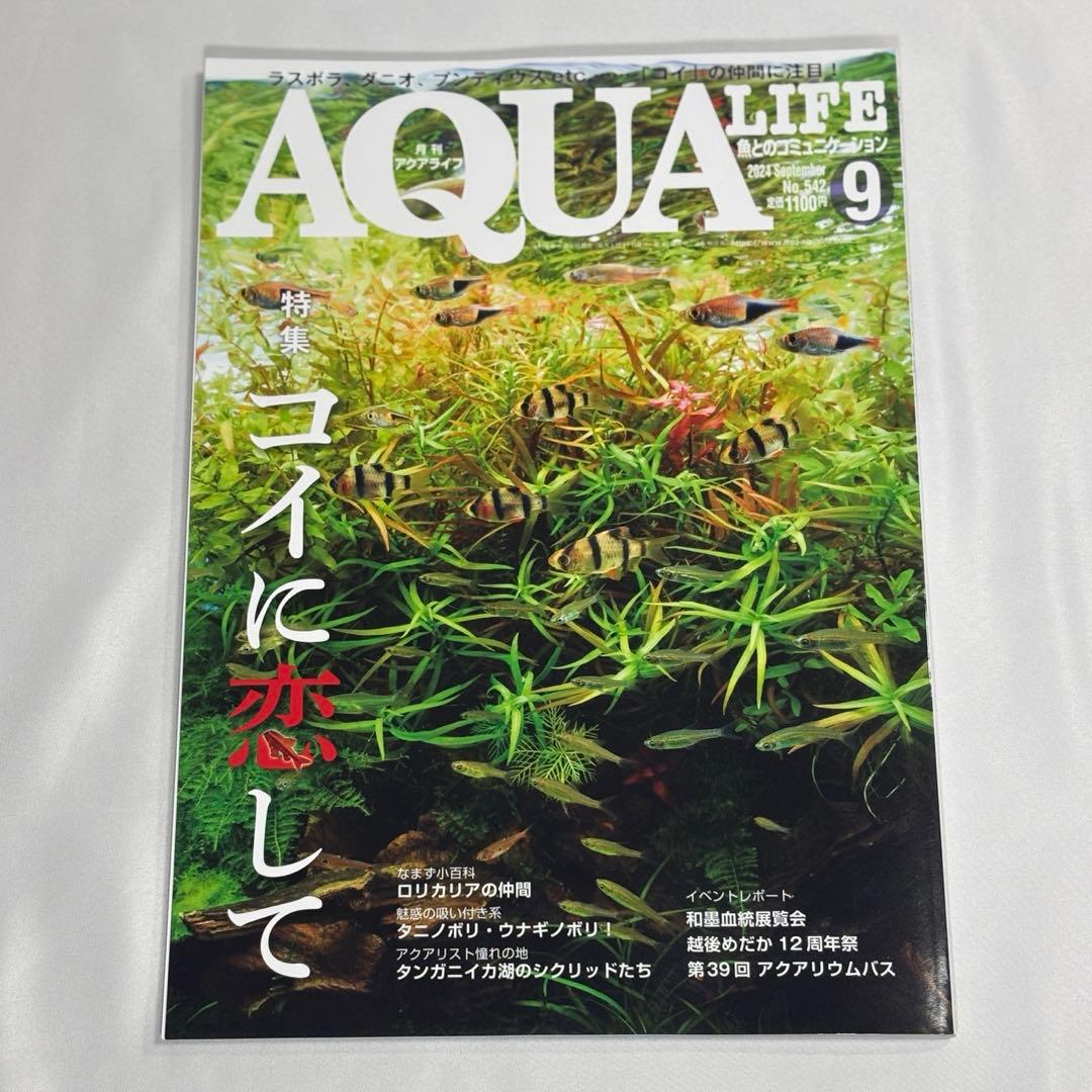 AQUA LIFE September 2024 Issue Special Feature Falling in Love with Koi