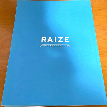 [Immediate Shipping!] Toyota Rize Catalog