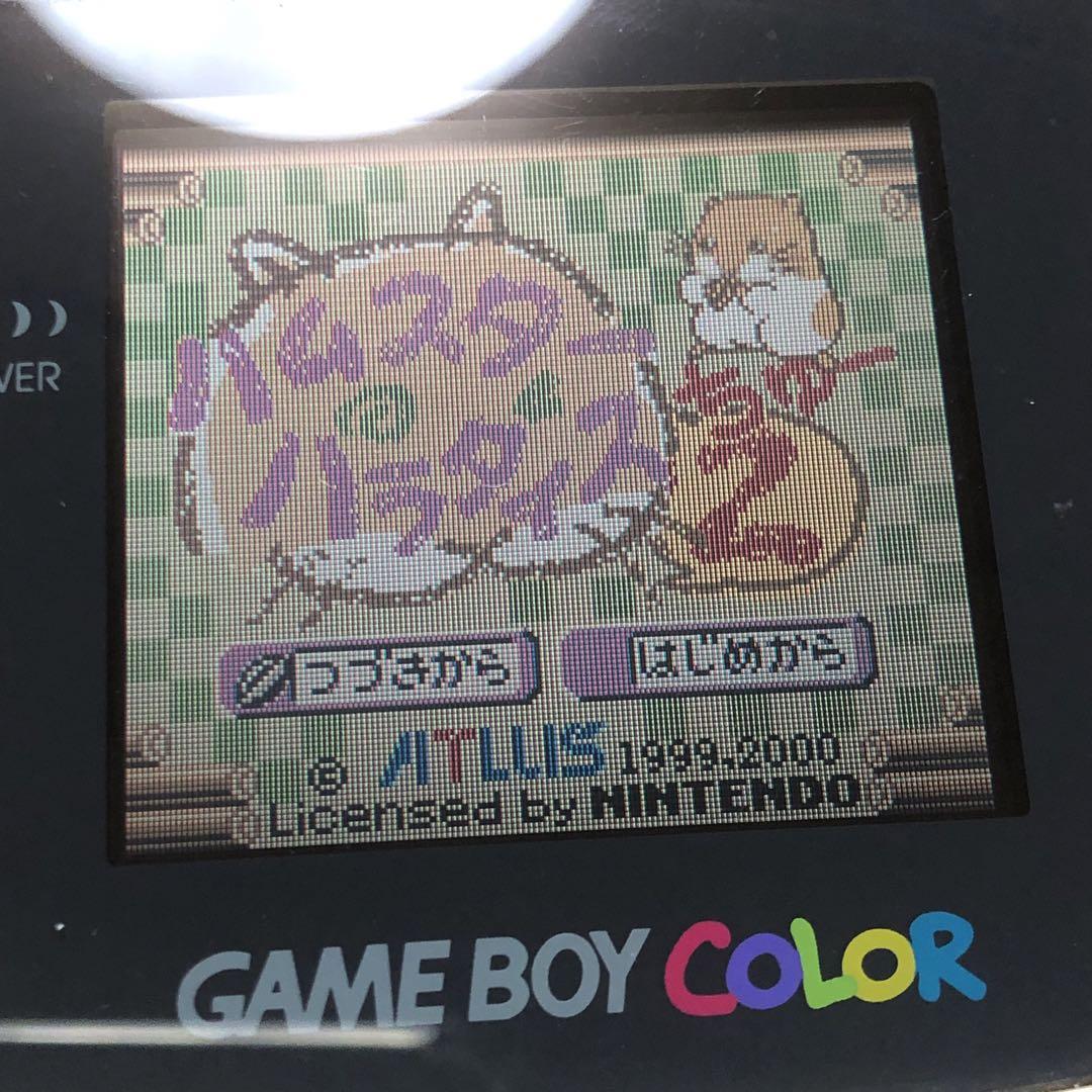 Hamster Paradise 2 Game Boy Color Software