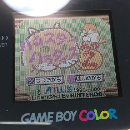 Hamster Paradise 2 Game Boy Color Software