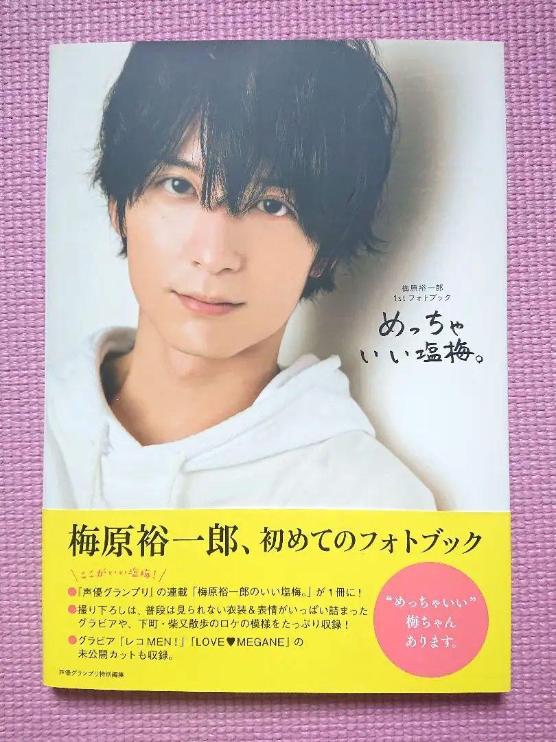 Voice Actor Yuichi Nakamura Photobook 6-Volume Set