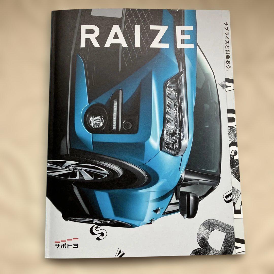 RAIZE Audio Navigation Catalog