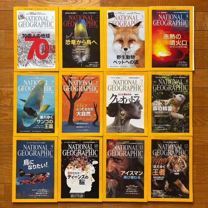 National Geographic 2011 January-December Set of 12 Issues