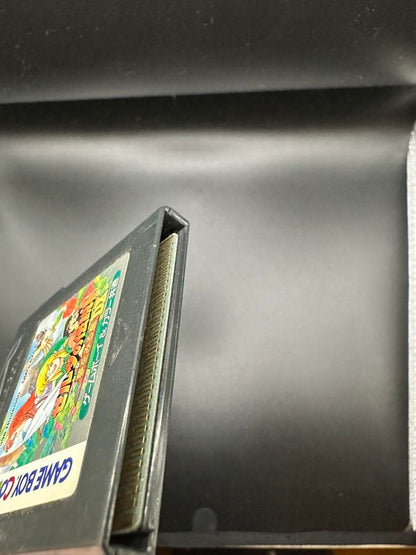 The Legend of Zelda: Dream Island DX