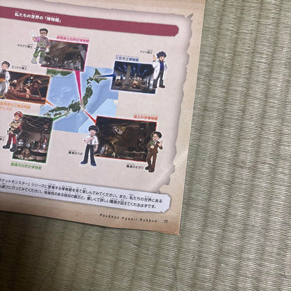 Pokémon Fossil Museum Pamphlet