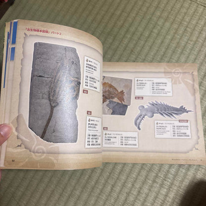 Pokémon Fossil Museum Pamphlet